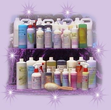 outlet1.jpg (26870 bytes)